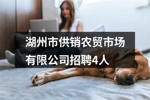 湖州市供销农贸市场有限公司招聘4人 图片