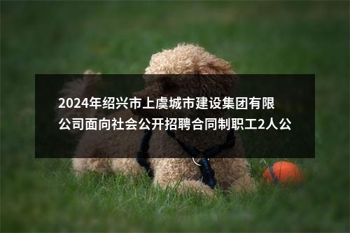 2024年绍兴市上虞城市建设集团有限公司面向社会公开招聘合同制职工2人公告 图片