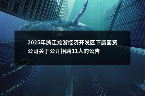 2025年浙江龙游经济开发区下属国资公司关于公开招聘11人的公告 图片