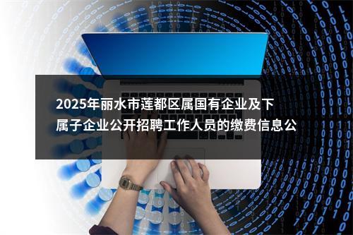 2025年丽水市莲都区属国有企业及下属子企业公开招聘工作人员的缴费信息公示 图片