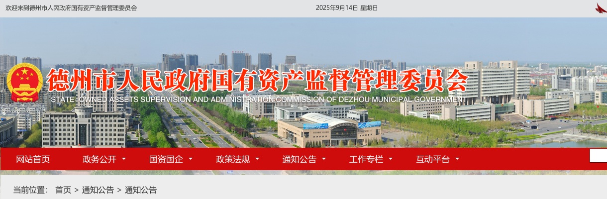 2024年德州财金投资控股集团有限公司公开招聘工作人员公告（36名） 图片