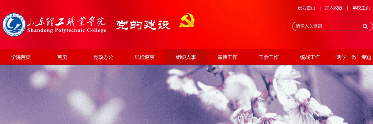 2025年山东理工职业学院公开招聘工作人员公告（28名） 图片
