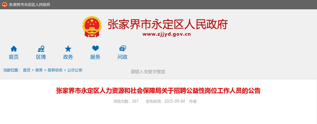2025湖南张家界市永定区人力资源和社会保障局招聘公益性岗位1人公告 图片