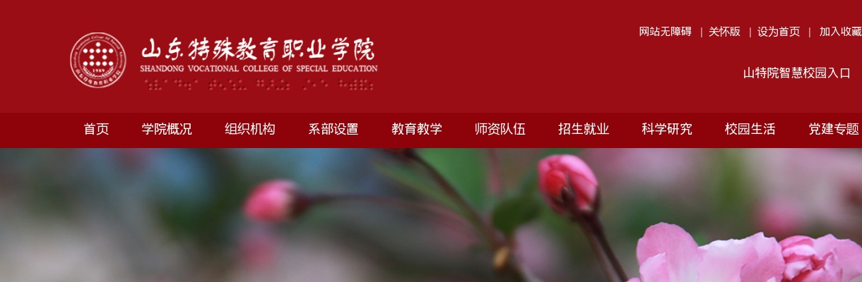 2025年山东特殊教育职业学院公开招聘笔试有关事项的公告 图片