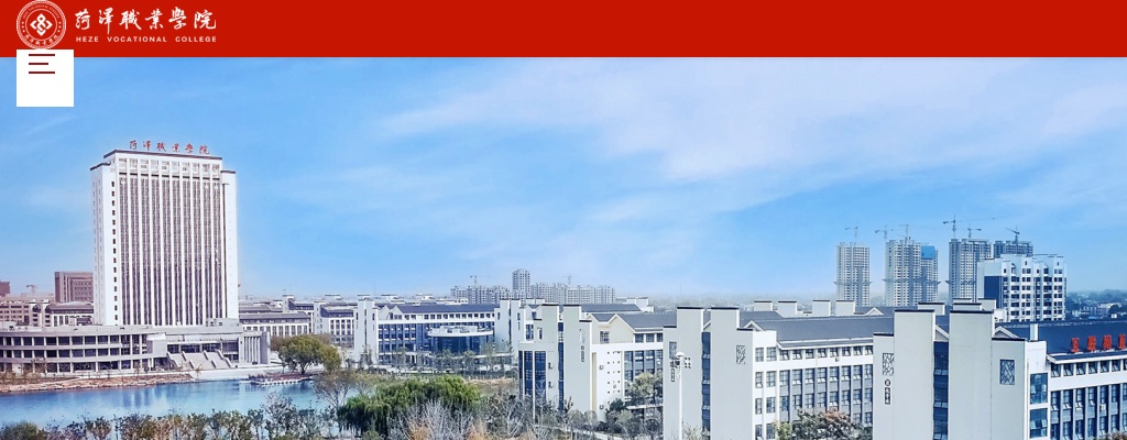 2025年菏泽职业学院公开招聘备案制工作人员递补面试人选资格审查公告 图片