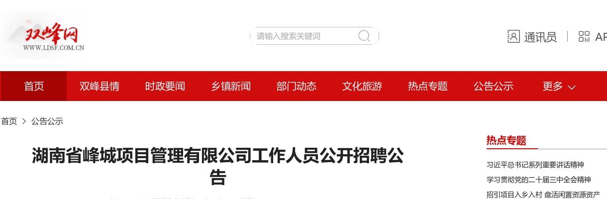 2025湖南省峰城项目管理有限公司招聘9人公告 图片