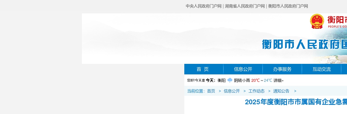 2025年湖南衡阳市市属国有企业急需紧缺专业技术人才引进公告 图片