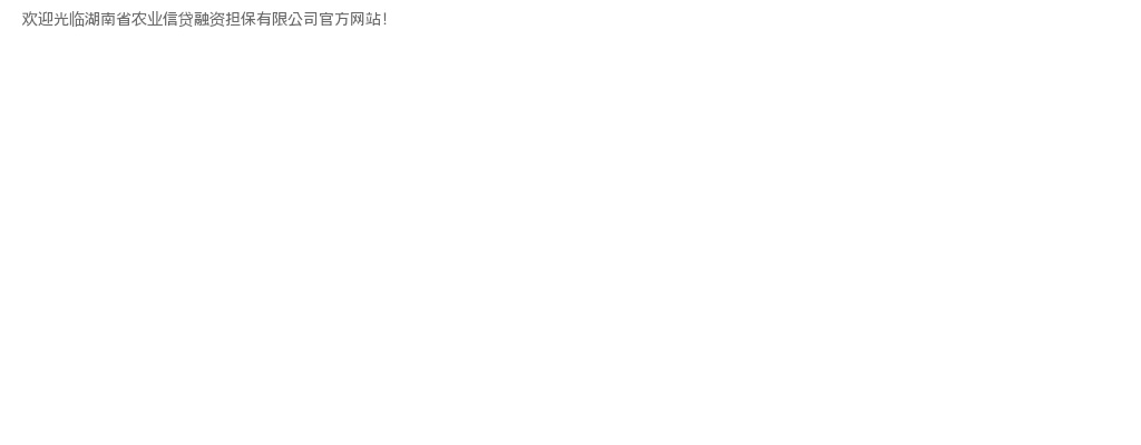 2025年湖南省农业信贷融资担保有限公司员工招聘公告 图片