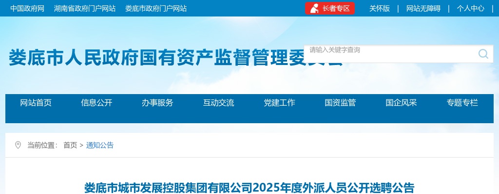 2025年湖南娄底市城市发展控股集团有限公司外派人员选聘公告 图片