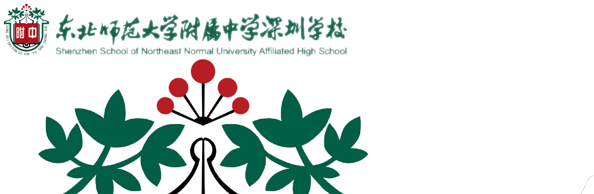 2025年4月广东东北师范大学附属中学深圳学校面向应届生招聘教师2人公告 图片