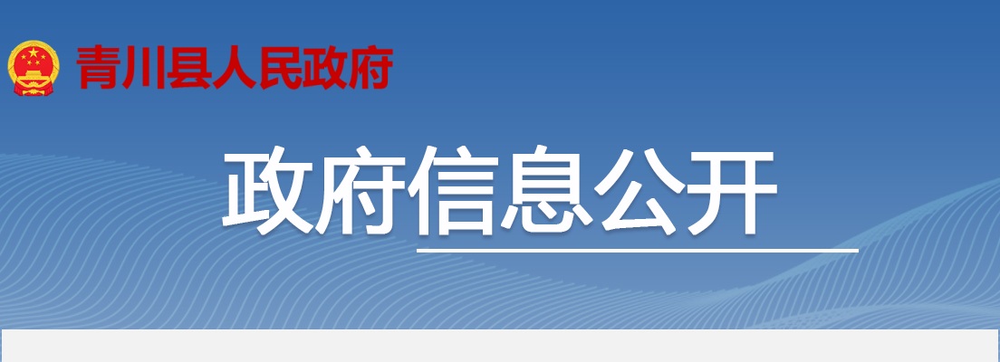 2023四川广元市青川县妇幼保健院招聘编外医学影像专业技术人员考试成绩公示 图片