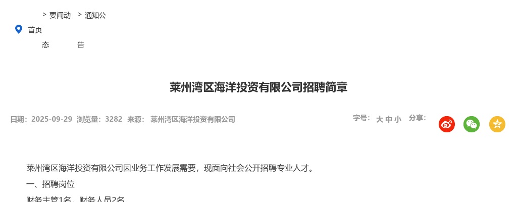 2025年莱州湾区海洋投资有限公司招聘简章（3人） 图片