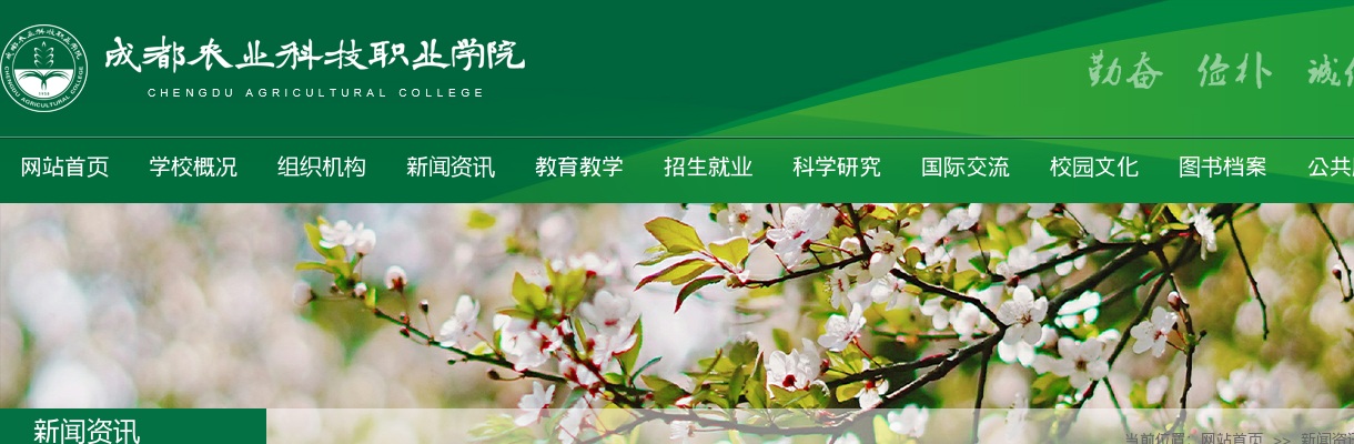 成都农业科技职业学院2025年上半年公开考试招聘25名工作人员的公示（第一批） 图片