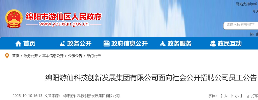 2025四川绵阳游仙科技创新发展集团有限公司面向社会招聘公司员工11人公告 图片