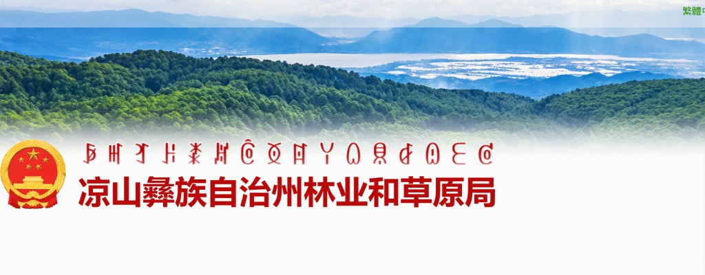 凉山州雷波重点国有林保护局 2024年面向社会公开招聘工作人员公告（27人） 图片