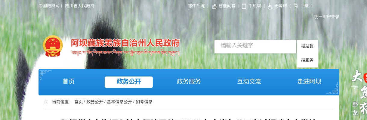 阿坝州人力资源和社会保障局关于2025年上半年公开考试招聘中小学教师递补人员体检有关事项的公告 图片