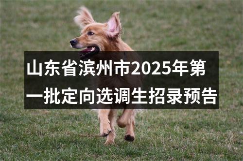山东省滨州市2025年第一批定向选调生招录预告 图片