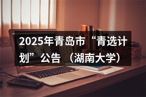 2025年青岛市“青选计划”公告 （湖南大学） 图片