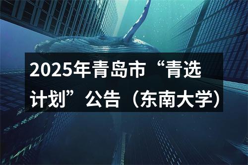 2025年青岛市“青选计划”公告（东南大学） 图片