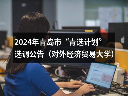 2024年青岛市“青选计划”选调公告（对外经济贸易大学） 图片