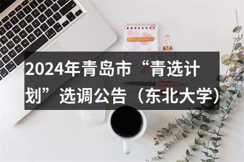 2024年青岛市“青选计划”选调公告（东北大学） 图片