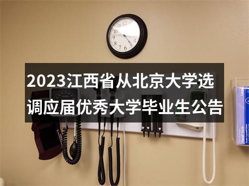 2023江西省从北京大学选调应届优秀大学毕业生公告 图片