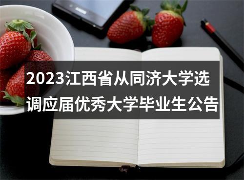 2023江西省从同济大学选调应届优秀大学毕业生公告 图片