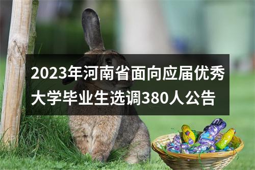 2023年河南省面向应届优秀大学毕业生选调380人公告 图片