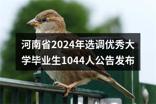 河南省2024年选调优秀大学毕业生1044人公告发布 图片