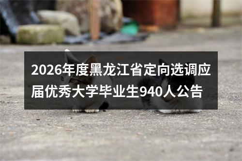 2026年度黑龙江省定向选调应届优秀大学毕业生940人公告 图片