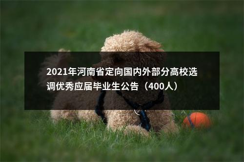 2021年河南省定向国内外部分高校选调优秀应届毕业生公告（400人） 图片