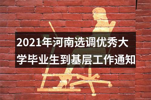 2021年河南选调优秀大学毕业生到基层工作通知 图片