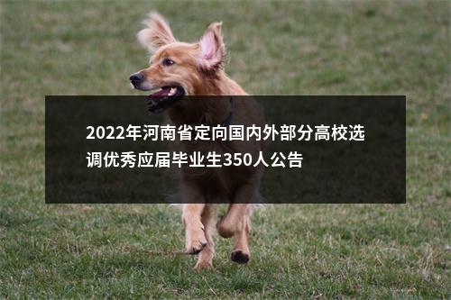 2022年河南省定向国内外部分高校选调优秀应届毕业生350人公告 图片