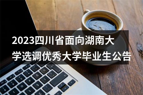 2023四川省面向湖南大学选调优秀大学毕业生公告 图片