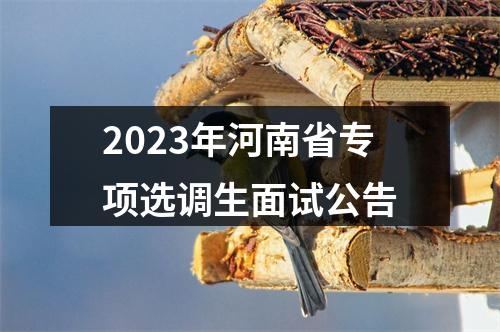 2023年河南省专项选调生面试公告 图片