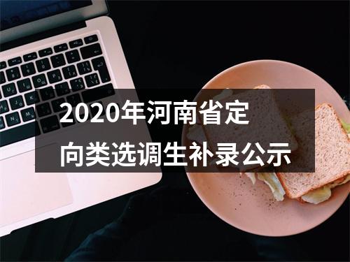 2020年河南省定向类选调生补录公示 图片