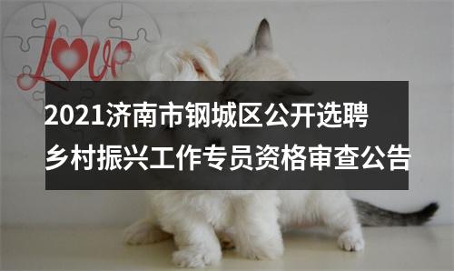 2021济南市钢城区公开选聘乡村振兴工作专员资格审查公告 图片