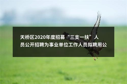 天桥区2020年度招募“三支一扶”人员公开招聘为事业单位工作人员拟聘用公示 图片