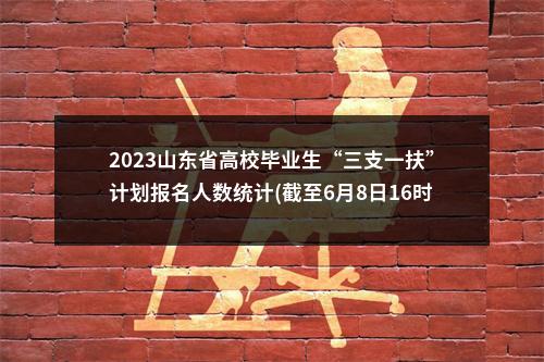 2023山东省高校毕业生“三支一扶”计划报名人数统计(截至6月8日16时) 图片