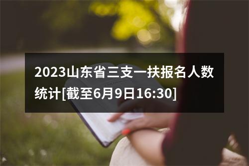 2023山东省三支一扶报名人数统计[截至6月9日16:30] 图片