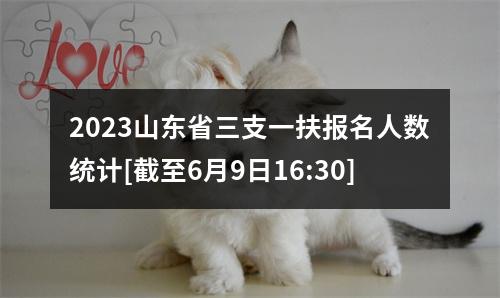 2023山东省三支一扶报名人数统计[截至6月9日16:30] 图片