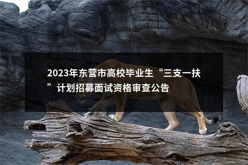 2023年东营市高校毕业生“三支一扶”计划招募面试资格审查公告 图片