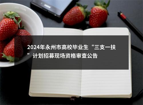 2024年永州市高校毕业生“三支一扶”计划招募现场资格审查公告 图片