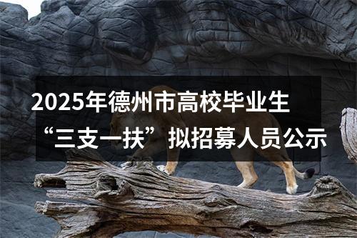 2025年德州市高校毕业生“三支一扶”拟招募人员公示 图片