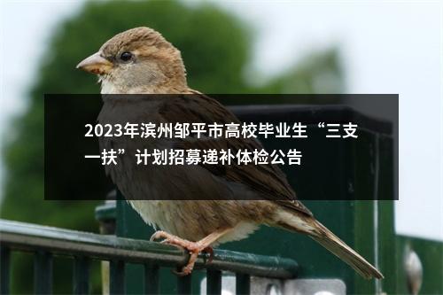 2023年滨州邹平市高校毕业生“三支一扶”计划招募递补体检公告 图片