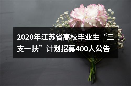 2020年江苏省高校毕业生“三支一扶”计划招募400人公告 图片