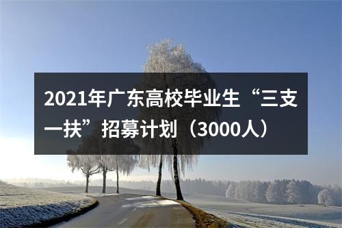 2021年广东高校毕业生“三支一扶”招募计划（3000人） 图片