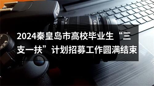 2024秦皇岛市高校毕业生“三支一扶”计划招募工作圆满结束 图片