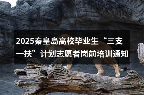 2025秦皇岛高校毕业生“三支一扶”计划志愿者岗前培训通知 图片