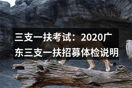 三支一扶考试：2020广东三支一扶招募体检说明 图片